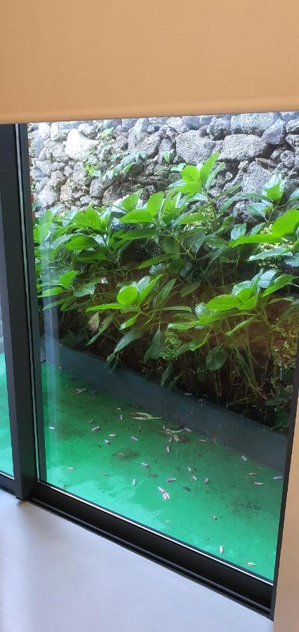 Arrenquinha Guesthouse 2 Ponta Delgada 외부 사진